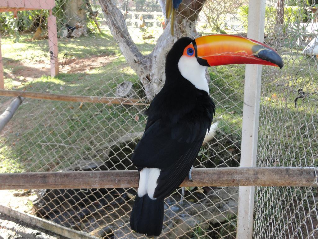 Hotel Fazenda Floresta Do Lago 索科罗 外观 照片